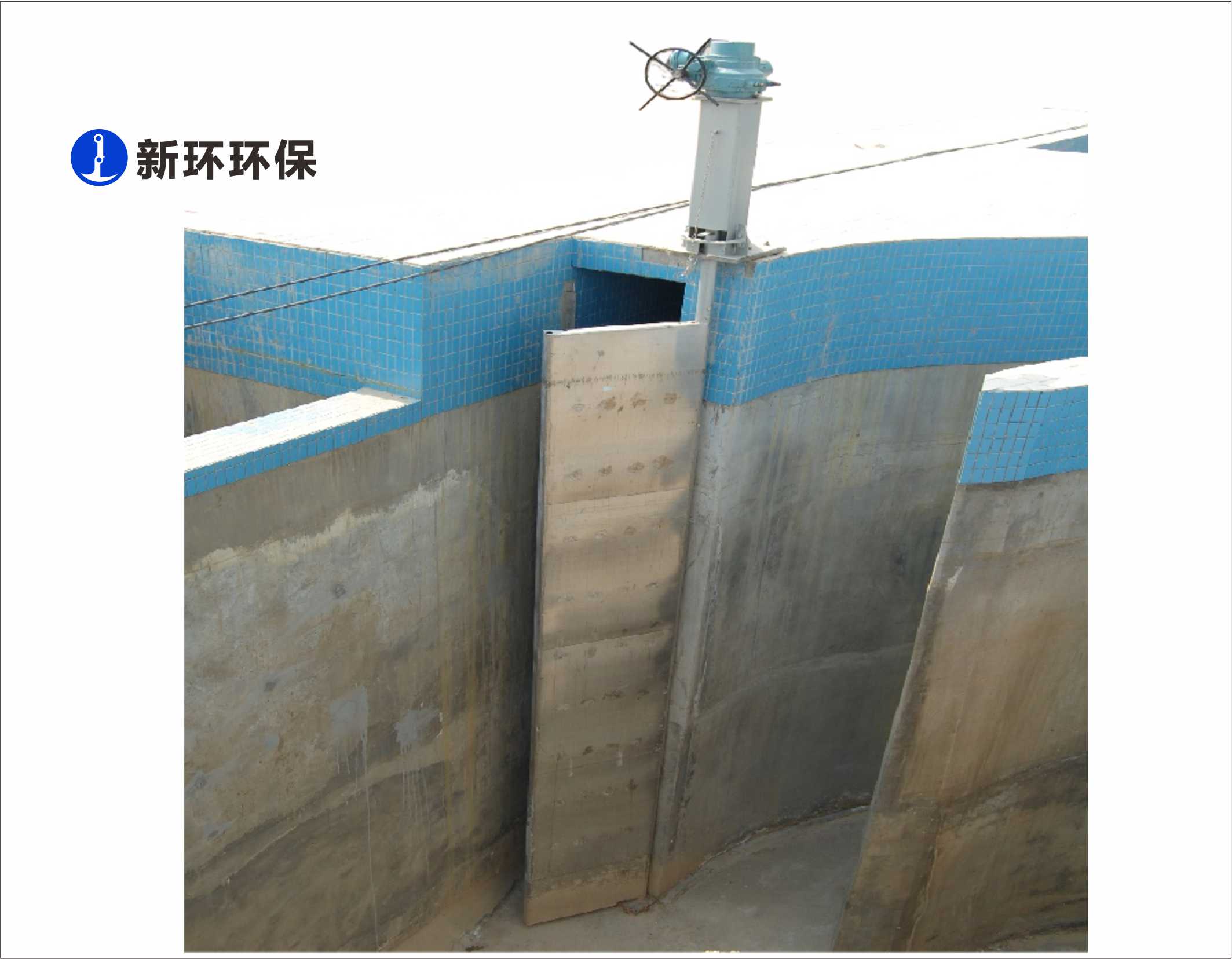 1703168385755559.jpg 1703168385755559.jpg