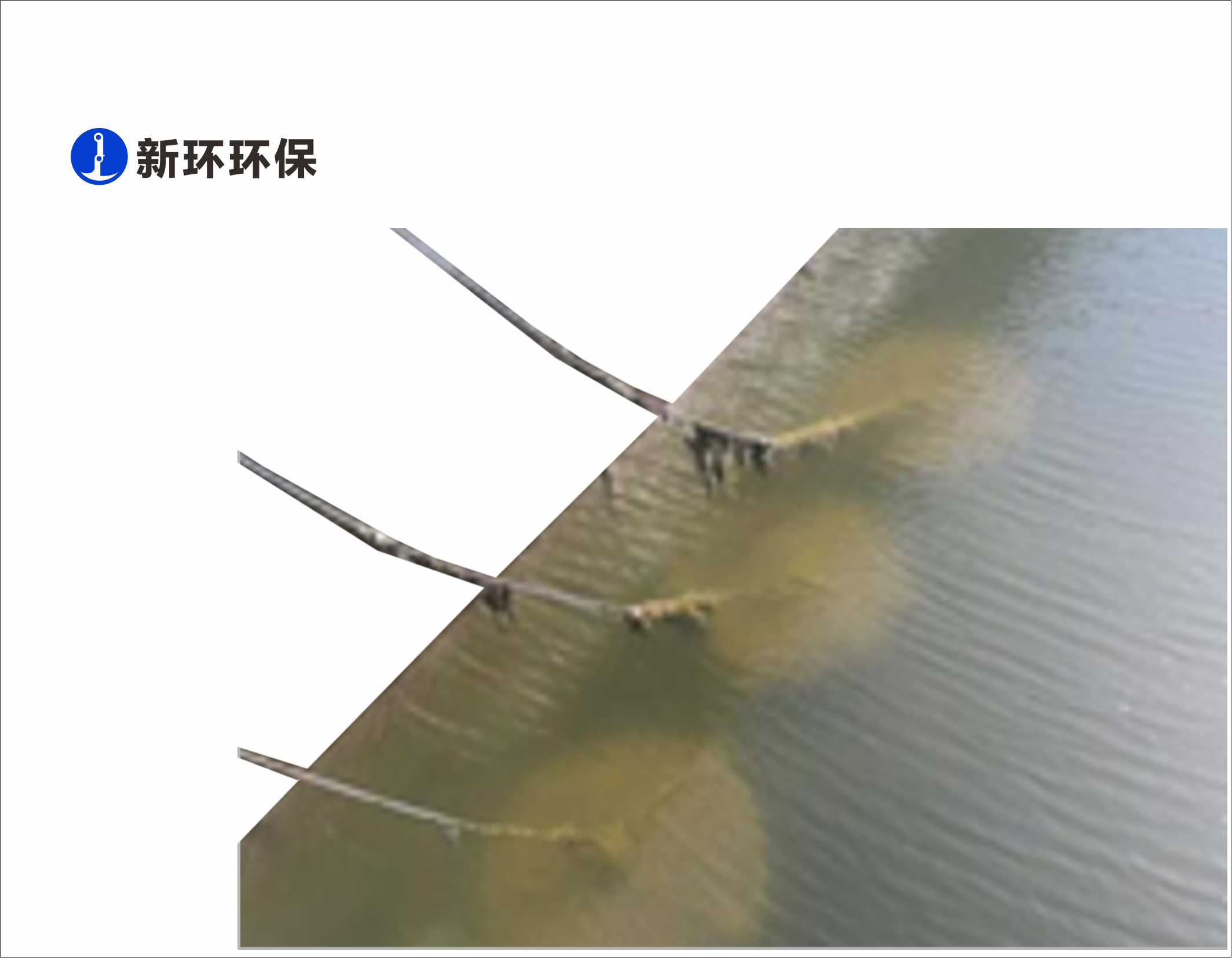 1703187501937211.jpg 1703187501937211.jpg