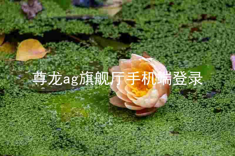 尊龙ag旗舰厅手机端登录