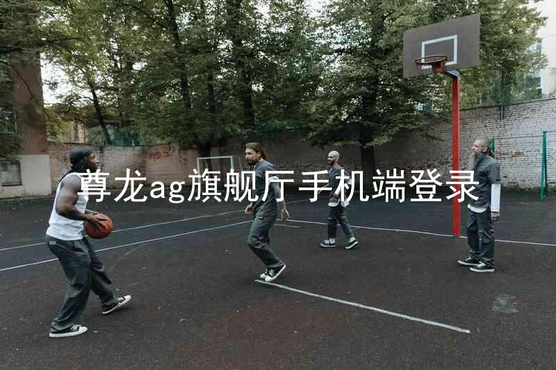 尊龙ag旗舰厅手机端登录
